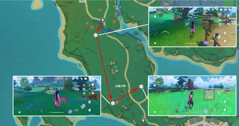 原神绯樱绣球采集路线位置 角色突破材料绯樱绣球采集攻略[多图]图片12