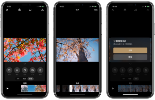 大片app
