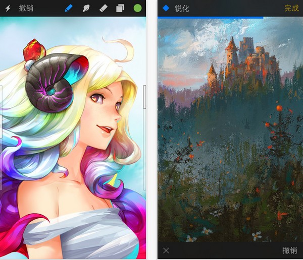 Procreate Pocket