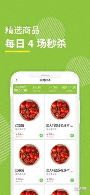 吉及鲜