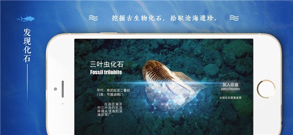 寻海app