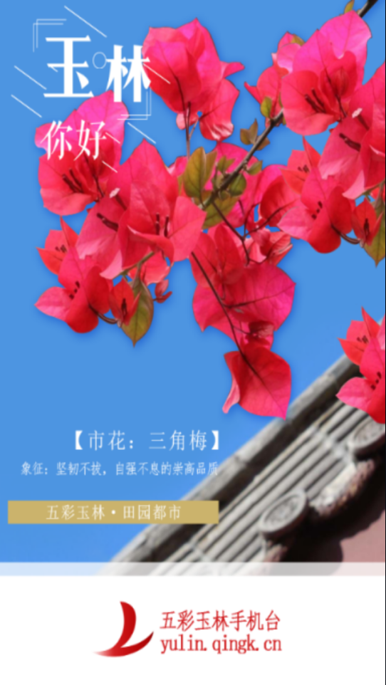 五彩玉林手机台iOS