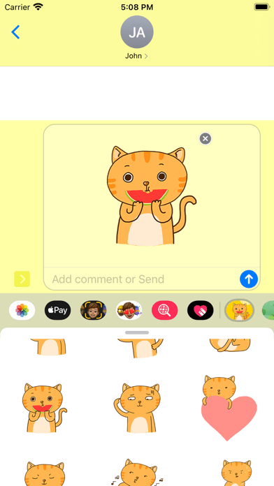 装修派棕猫