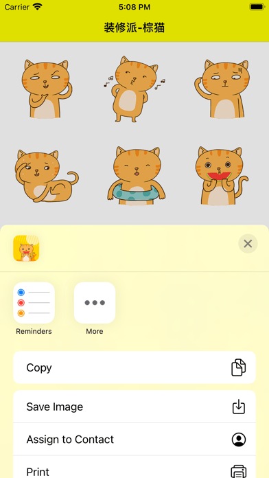 装修派棕猫