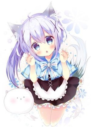 美图鉴赏