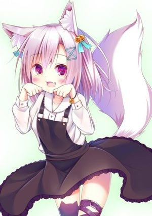 美图鉴赏