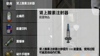 绝地求生大逃杀iOS
