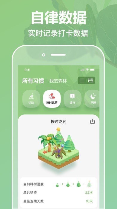 打卡森林