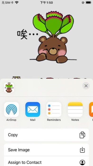 绒毛子叶