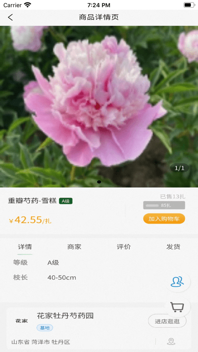 仙花仙生