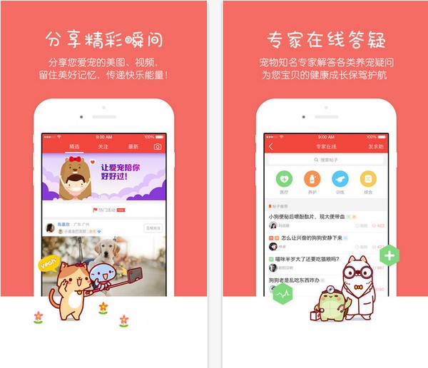 有宠app