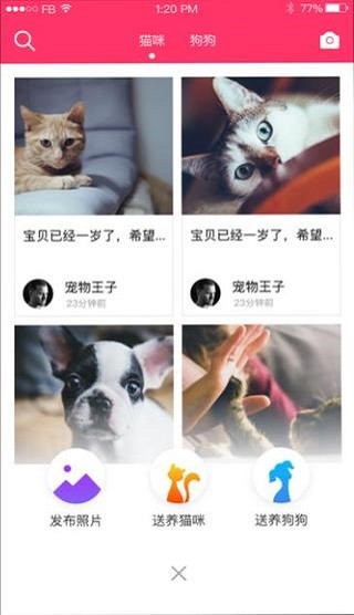 养养宠物IOS