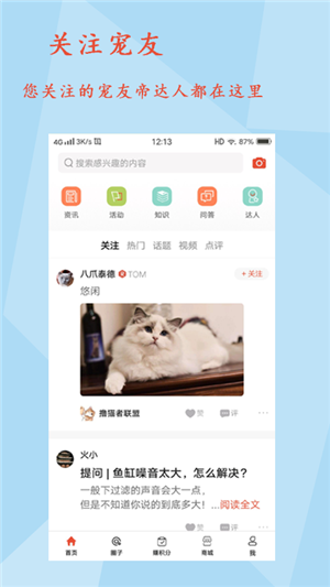 宠友帝