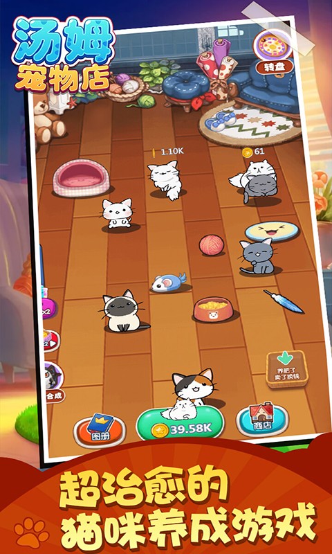 汤姆宠物店 汤姆宠物店