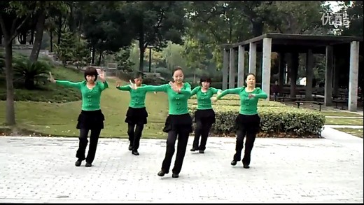 广场舞高清视频下载