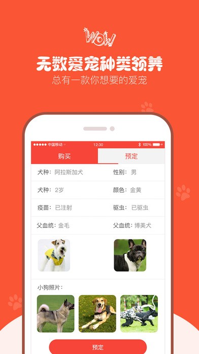 领狗狗app