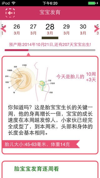 孕育宝app