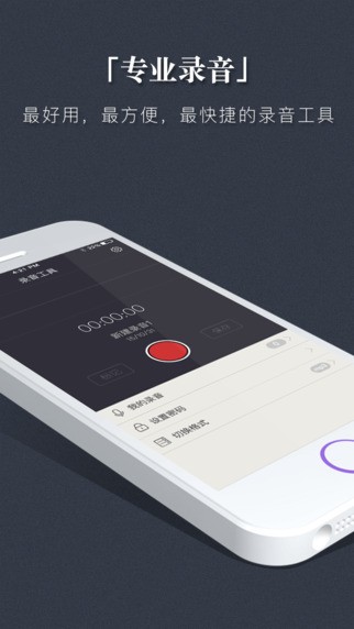 专业录音app