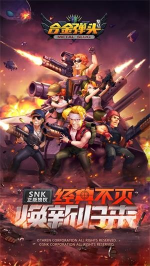 合金弹头集结
