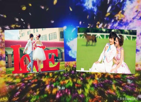 汇声绘影iPhone版