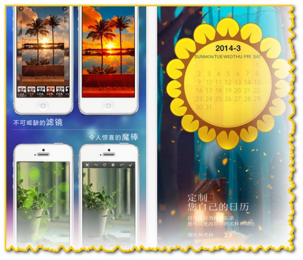 斑马高清壁纸iPhone版