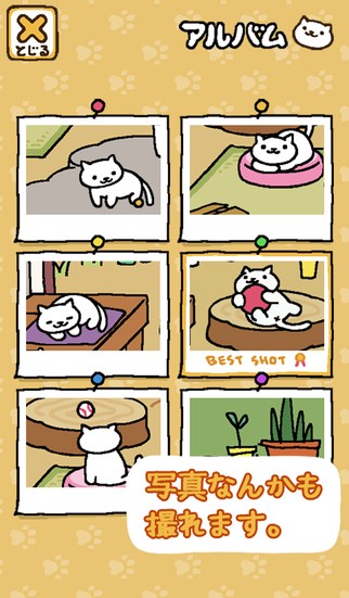 猫咪后院iPhone版