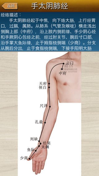 经络穴位图解app