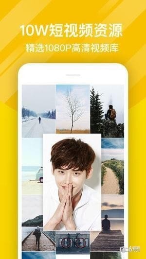 熊猫动态壁纸app