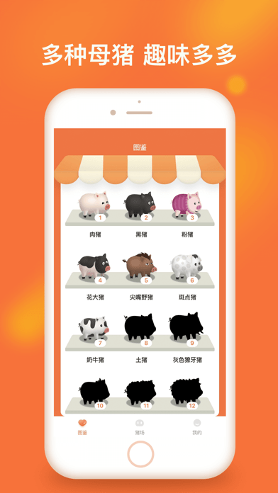 一起来养猪app