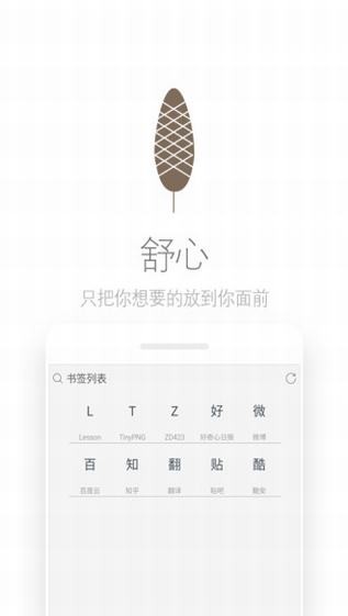 Via浏览器app