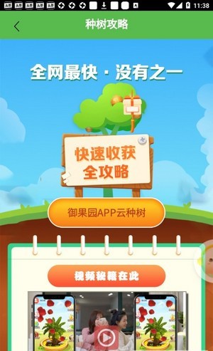 御果园红包版