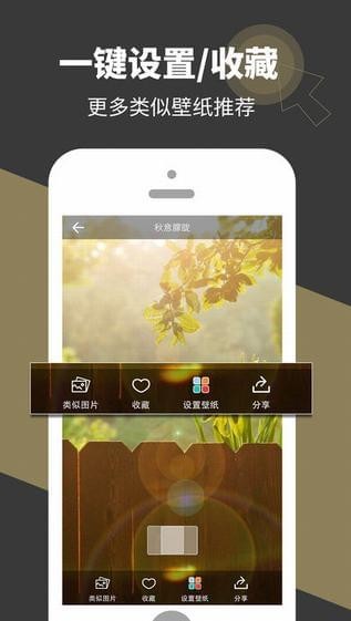 壁纸多多iPhone版