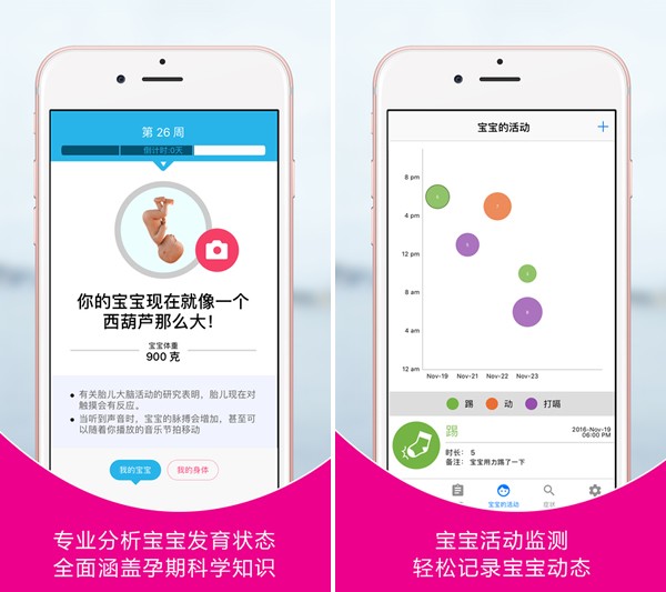 口袋孕育app