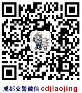 成都交警蓉e行app