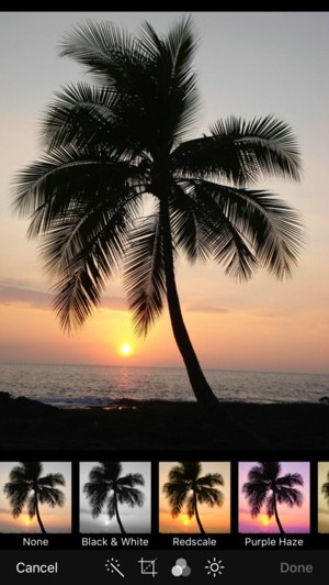 photo manager pro