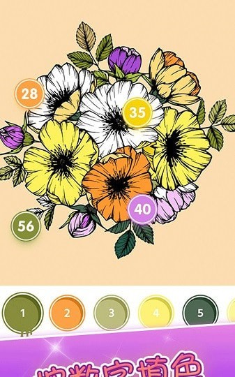 花花数字填色免费版