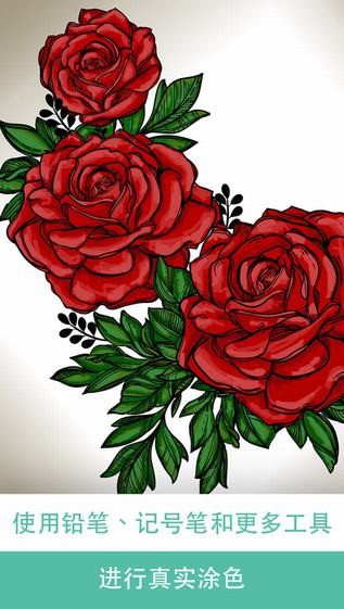 Pigment app