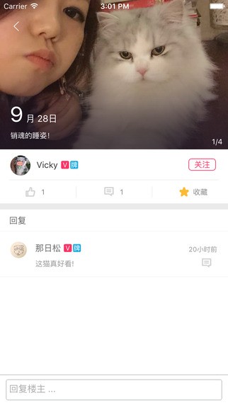 小宠医生app
