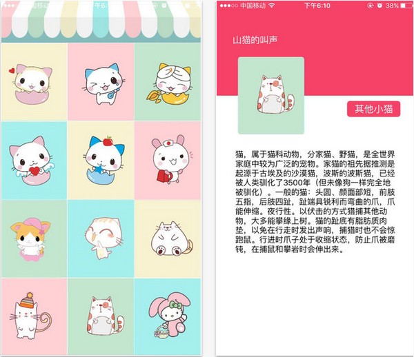 玩否app