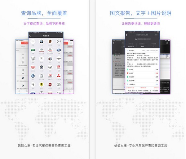 蚂蚁女王app