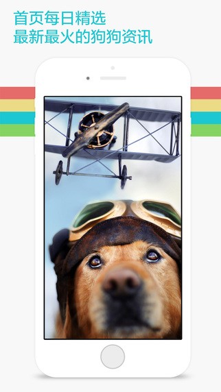 爱宠物狗狗app