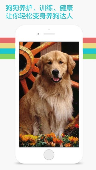 爱宠物狗狗app