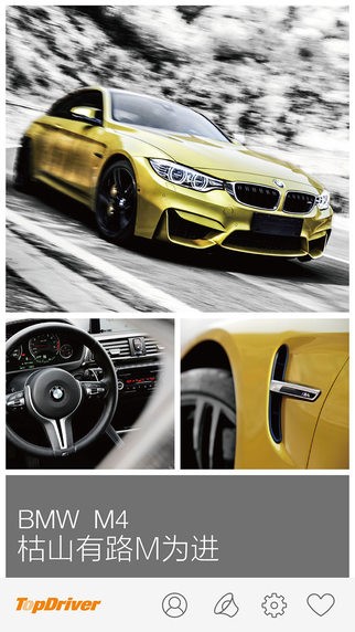TopDriver iPhone版