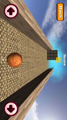 3D平衡球过山车