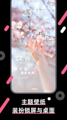 桔子壁纸