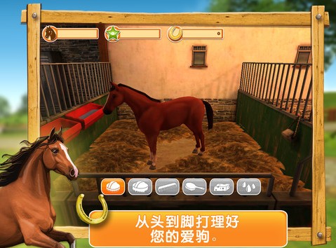 我的骏马App下载