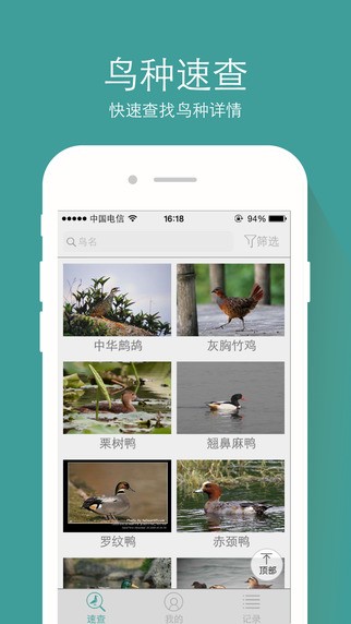 中国野鸟速查app