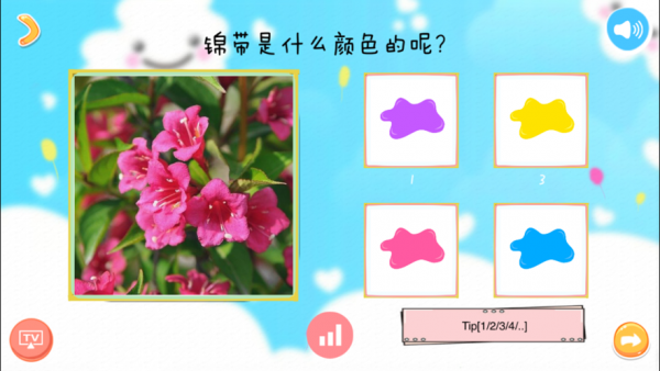 趣游识万物