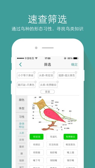 中国野鸟速查下载