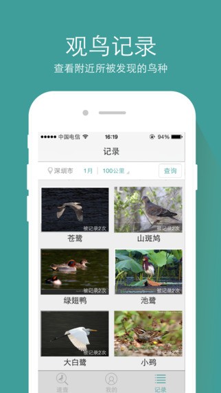 中国野鸟速查app